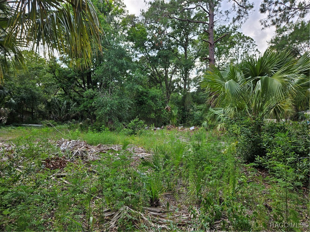 4360 E Nugget Pass Place, Dunnellon, Florida image 10