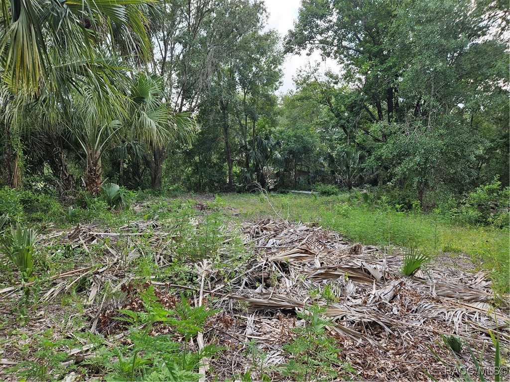 4360 E Nugget Pass Place, Dunnellon, Florida image 1