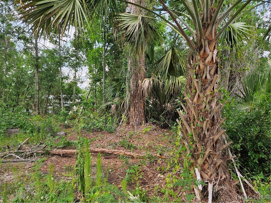 4360 E Nugget Pass Place, Dunnellon, Florida image 12