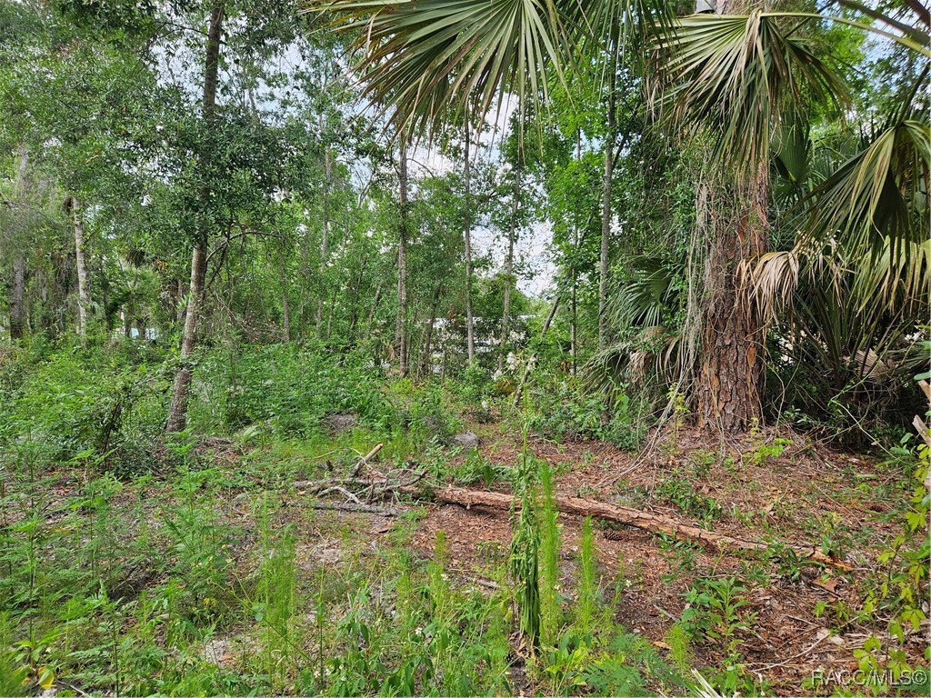 4360 E Nugget Pass Place, Dunnellon, Florida image 8