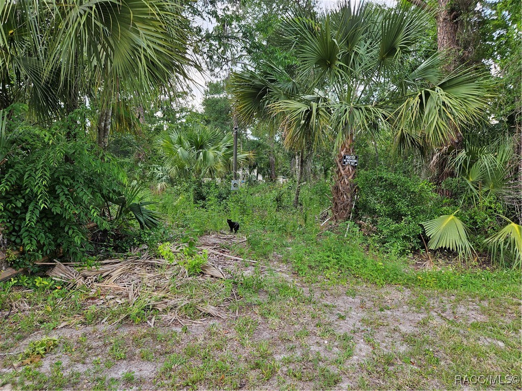 4360 E Nugget Pass Place, Dunnellon, Florida image 14