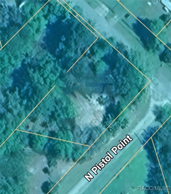 4360 E Nugget Pass Place, Dunnellon, Florida image 17