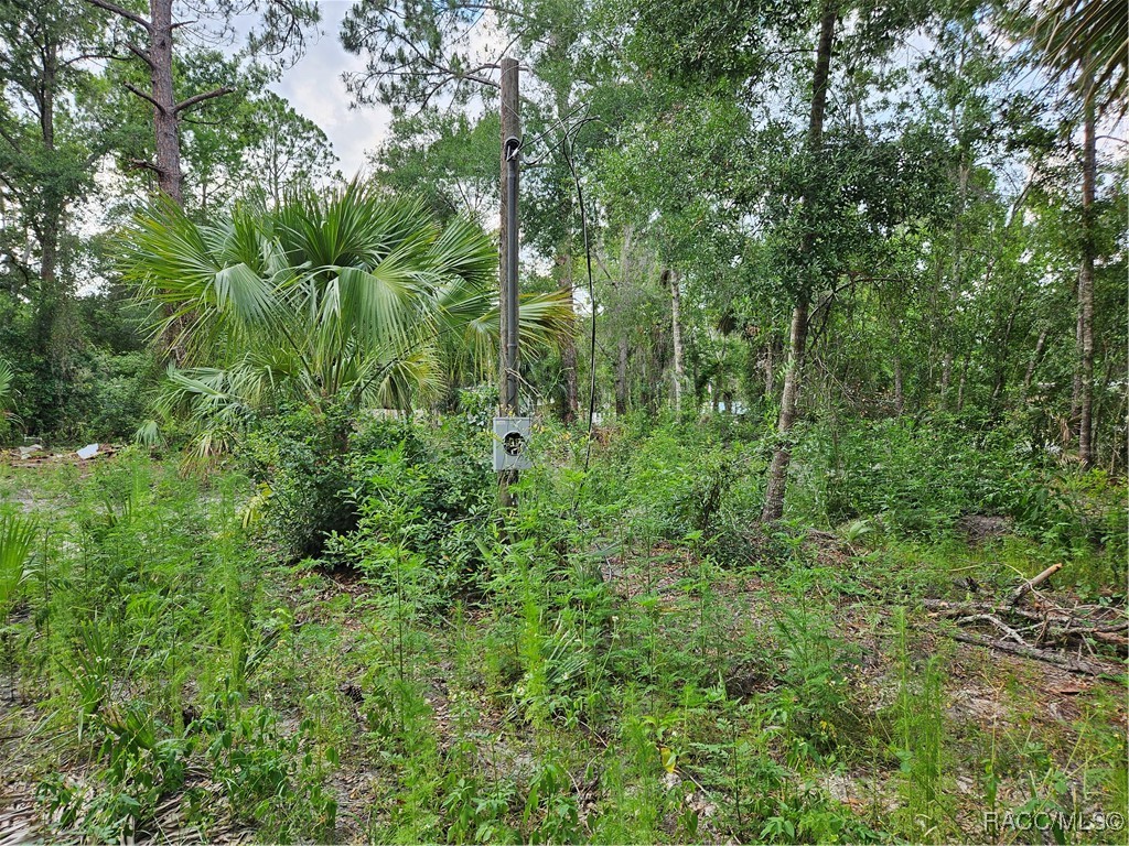 4360 E Nugget Pass Place, Dunnellon, Florida image 9