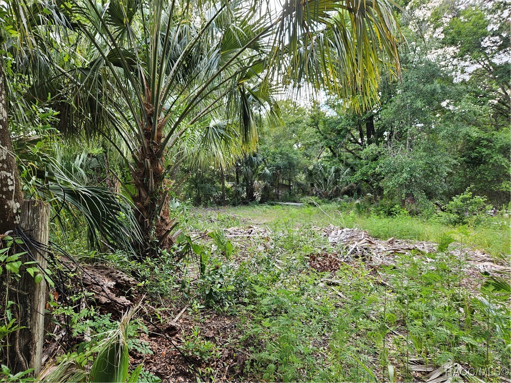 4360 E Nugget Pass Place, Dunnellon, Florida image 11