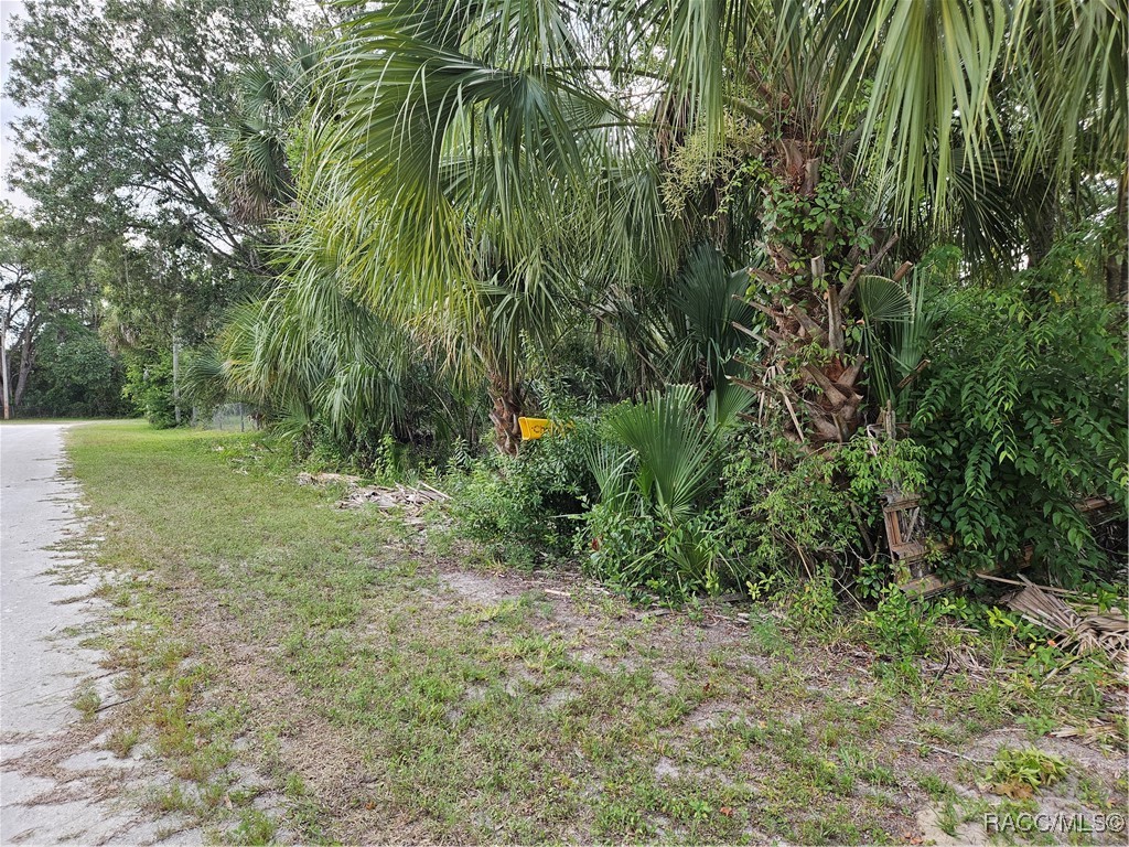 4360 E Nugget Pass Place, Dunnellon, Florida image 13
