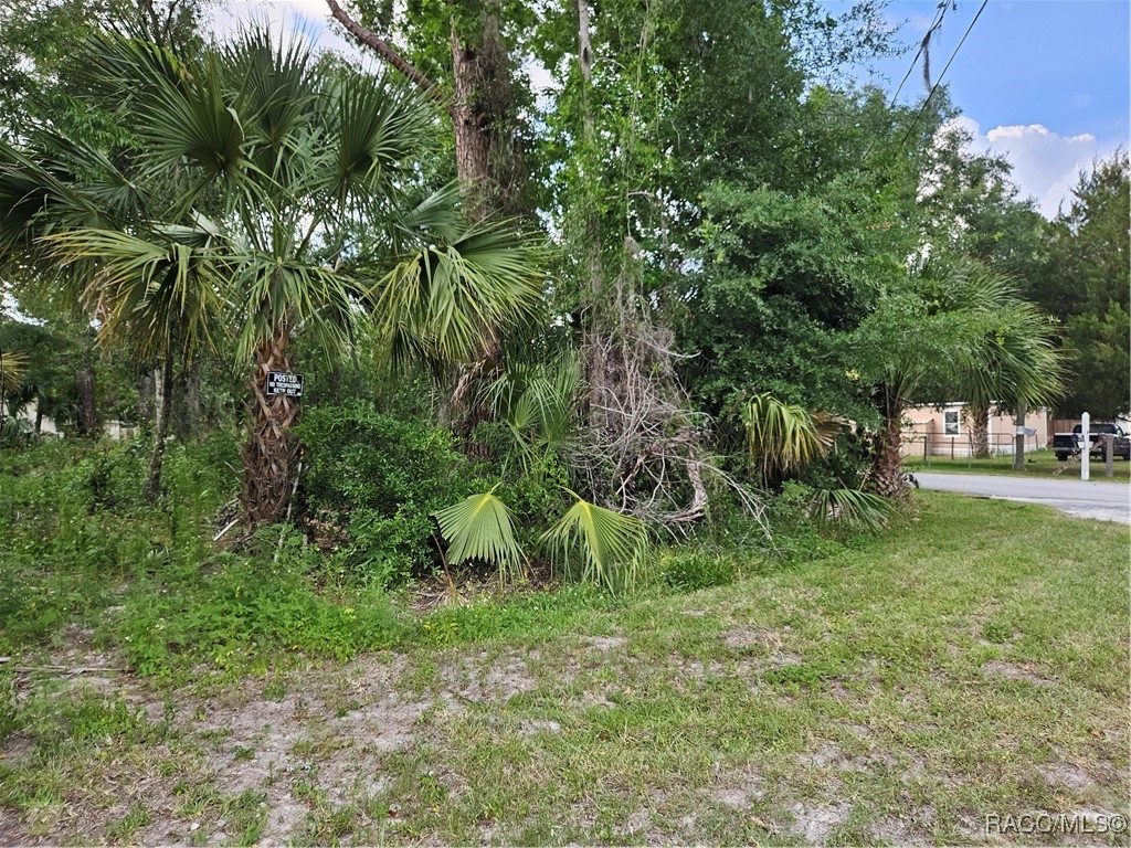 4360 E Nugget Pass Place, Dunnellon, Florida image 15