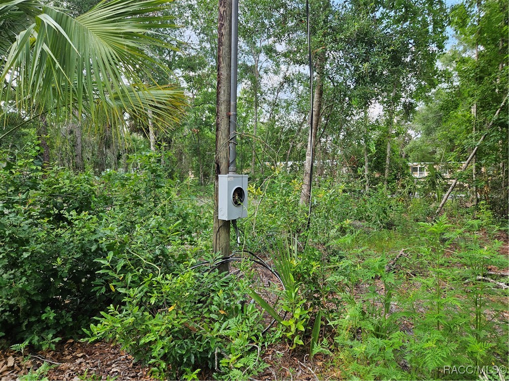 4360 E Nugget Pass Place, Dunnellon, Florida image 2