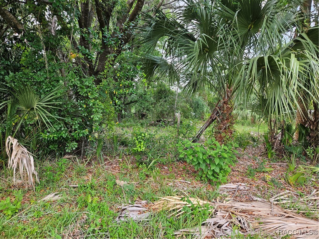 4360 E Nugget Pass Place, Dunnellon, Florida image 4