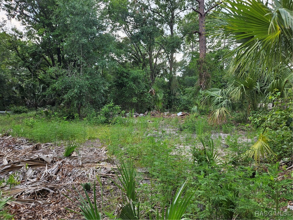 4360 E Nugget Pass Place, Dunnellon, Florida image 6