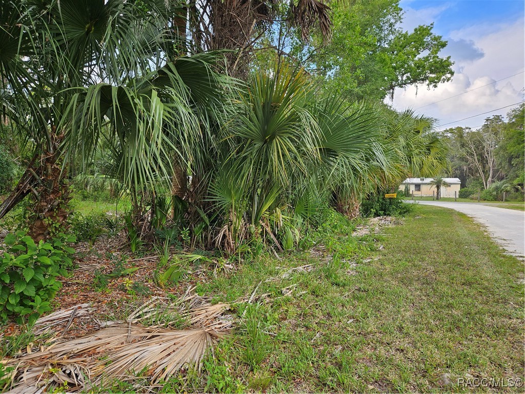 4360 E Nugget Pass Place, Dunnellon, Florida image 7