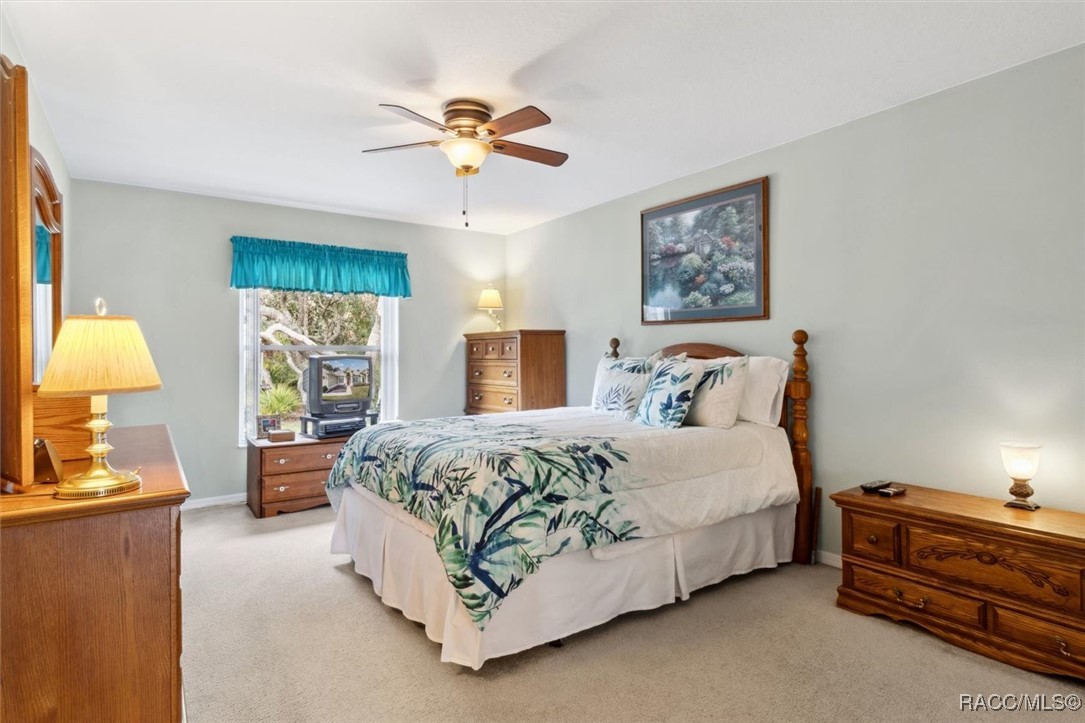 13 Freesia Court, Homosassa, New York image 23