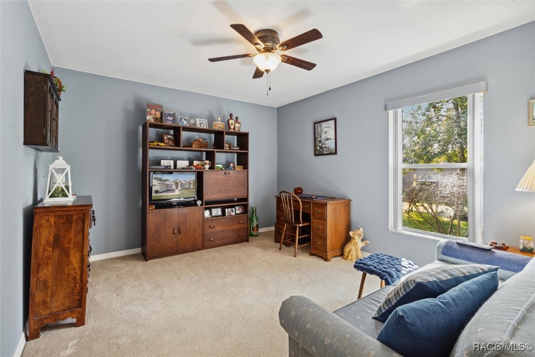 13 Freesia Court, Homosassa, New York image 34