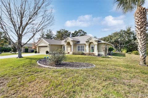 A home in Homosassa