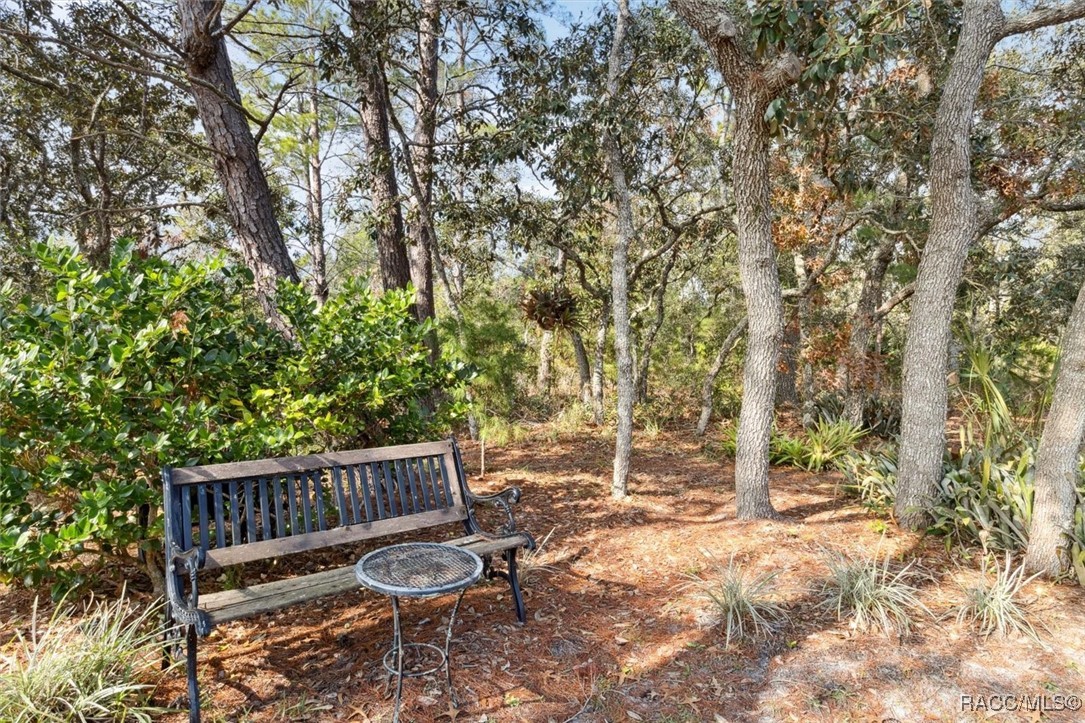 13 Freesia Court, Homosassa, New York image 45