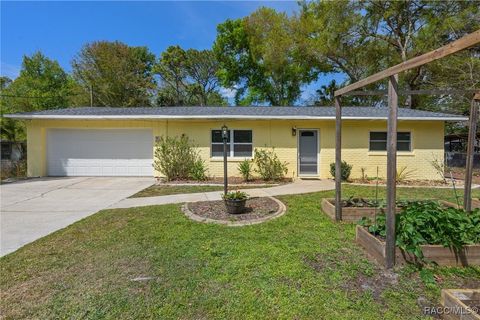 8467 W Doe Lane, Homosassa, FL 34448 - MLS#: 843067