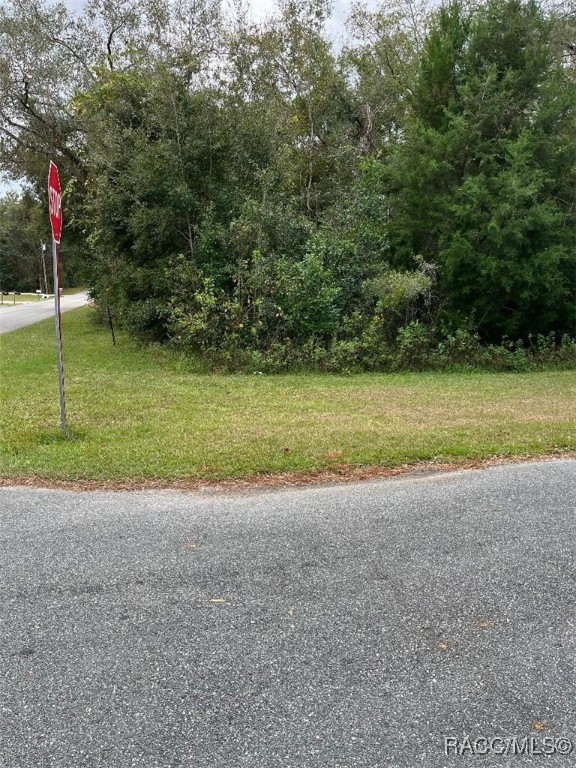 358 N Charles Avenue, Inverness, Florida image 8