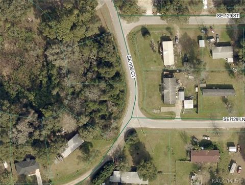 Vacant Land For Sale - 106th Court<br/> Belleview, FL 34420