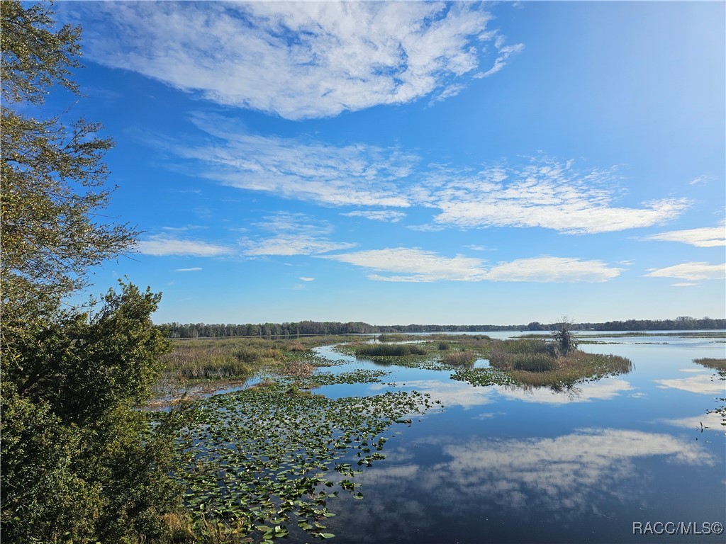 9312 E Gospel Island Road, Inverness, Florida image 9