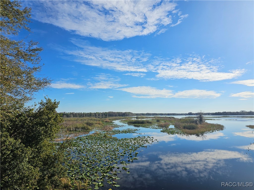 9312 E Gospel Island Road, Inverness, Florida image 12