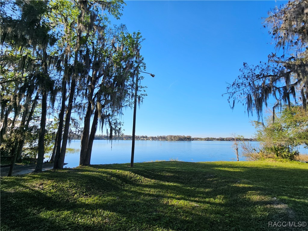 9312 E Gospel Island Road, Inverness, Florida image 10