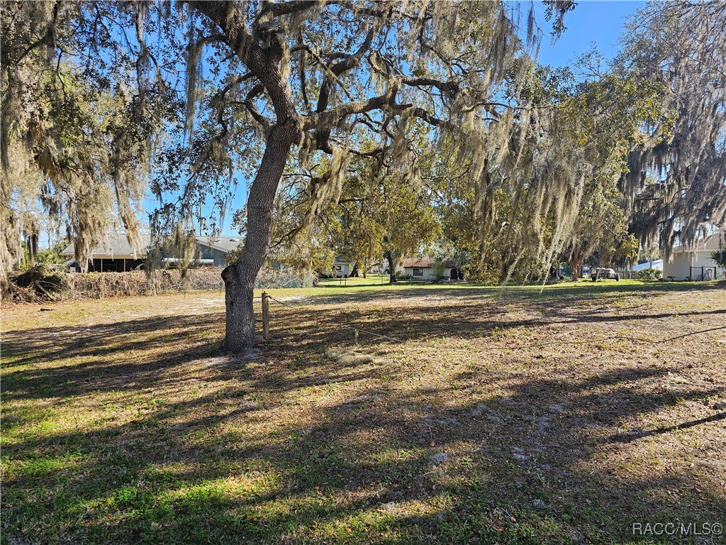 9312 E Gospel Island Road, Inverness, Florida image 13