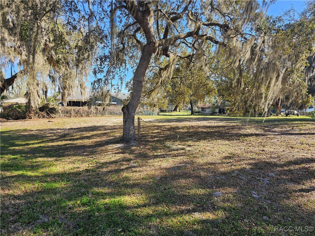 9312 E Gospel Island Road, Inverness, Florida image 15