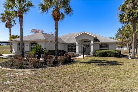 298 N Spend A Buck Drive Inverness FL 34453