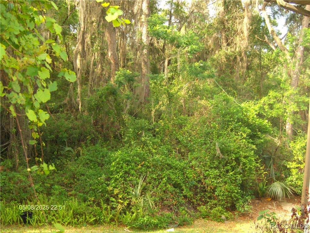 3150 E Sweet Meadow Court, Hernando, Florida image 19