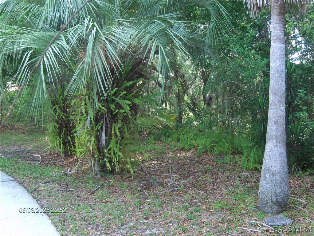 3150 E Sweet Meadow Court, Hernando, Florida image 23