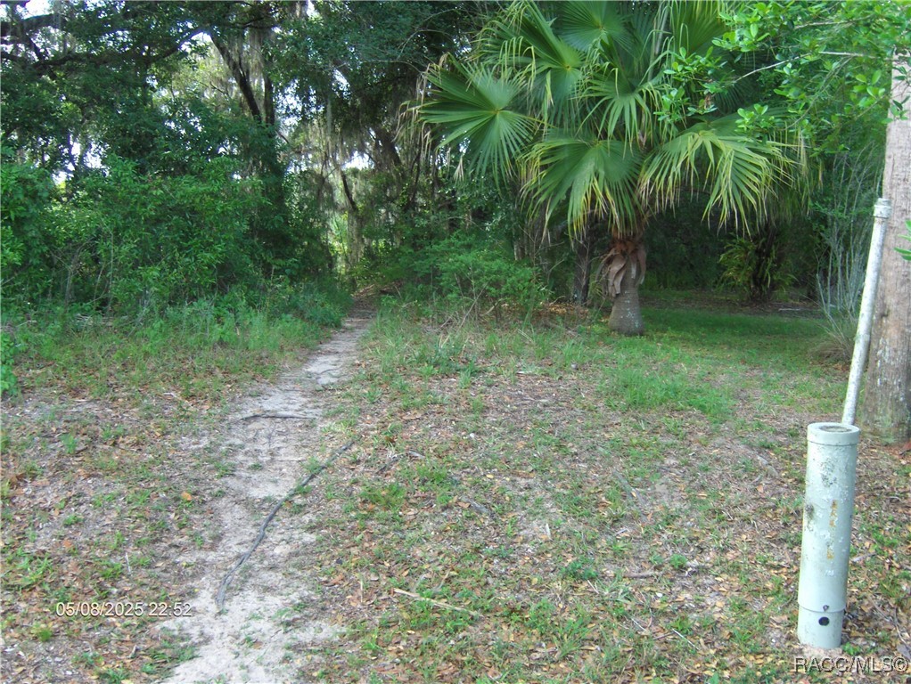 3150 E Sweet Meadow Court, Hernando, Florida image 25