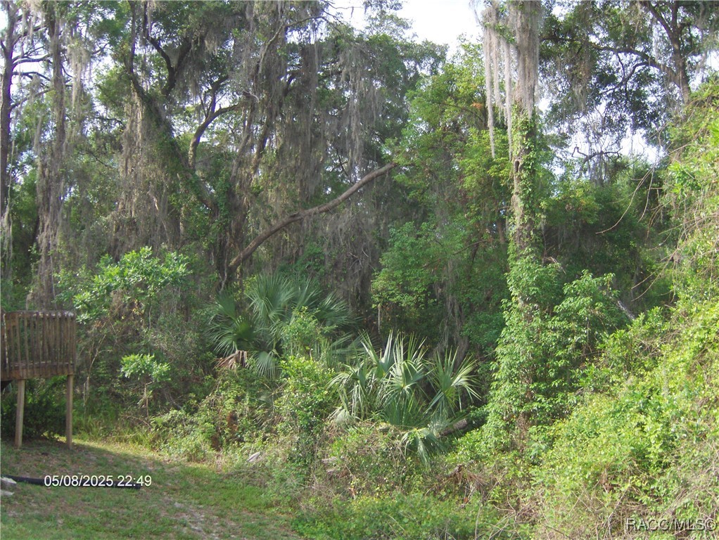 3150 E Sweet Meadow Court, Hernando, Florida image 12