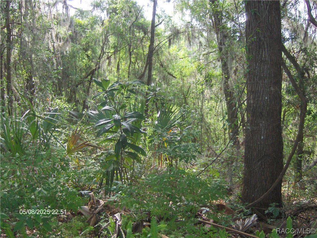 3150 E Sweet Meadow Court, Hernando, Florida image 17