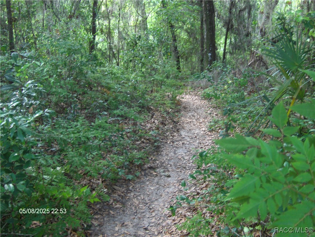 3150 E Sweet Meadow Court, Hernando, Florida image 26