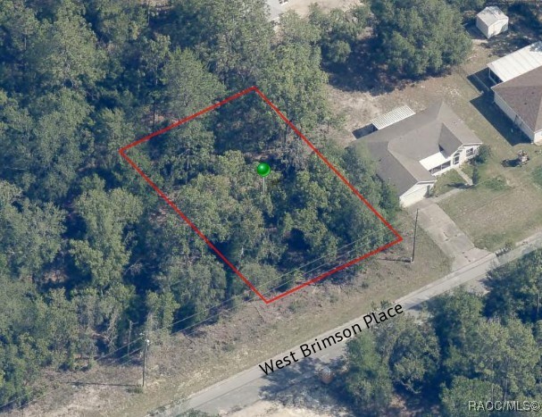 275 W Brimson Place, Citrus Springs, New York image 4