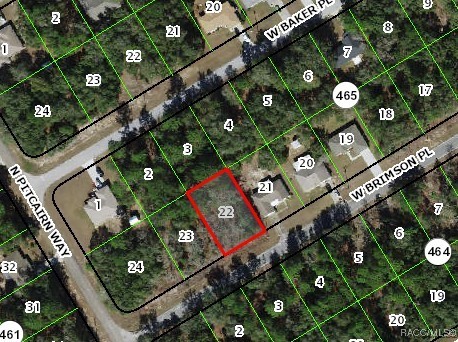275 W Brimson Place, Citrus Springs, New York image 2