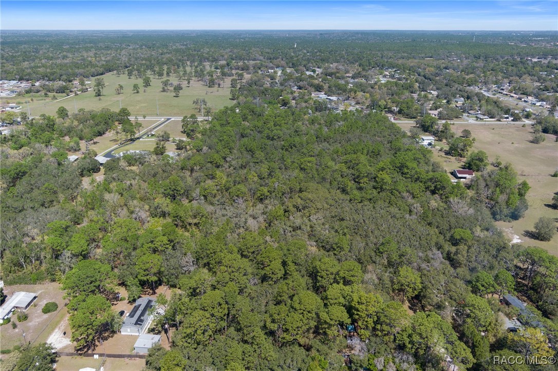 6190 W Grover Cleveland Boulevard, Homosassa, Florida image 12