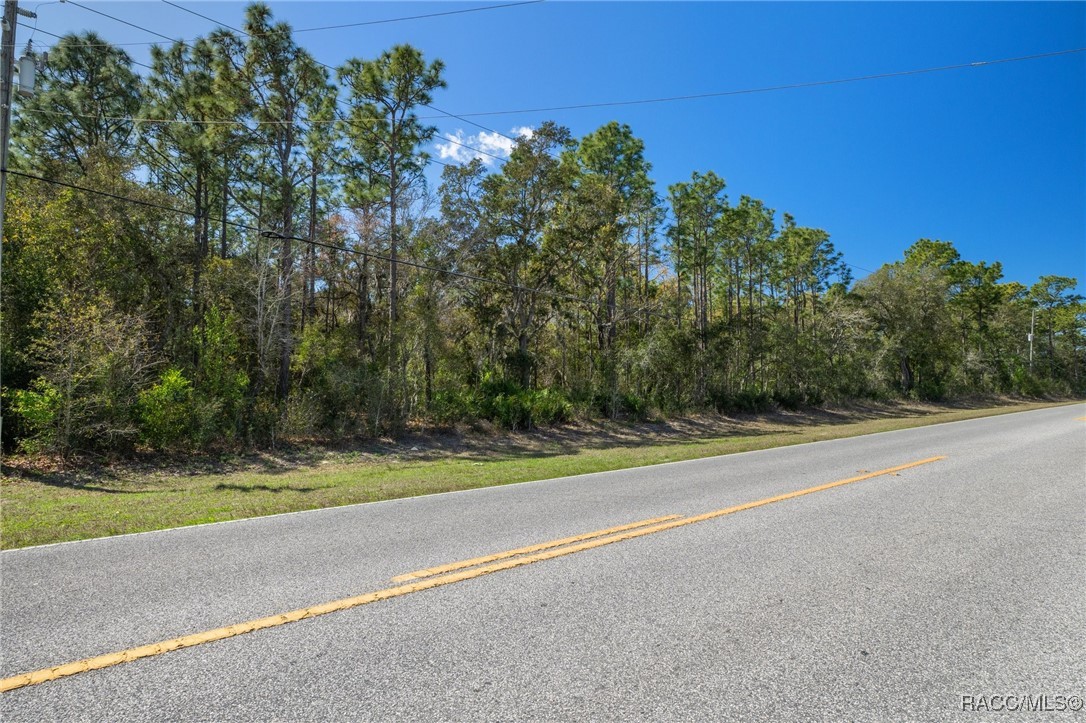 6190 W Grover Cleveland Boulevard, Homosassa, Florida image 16