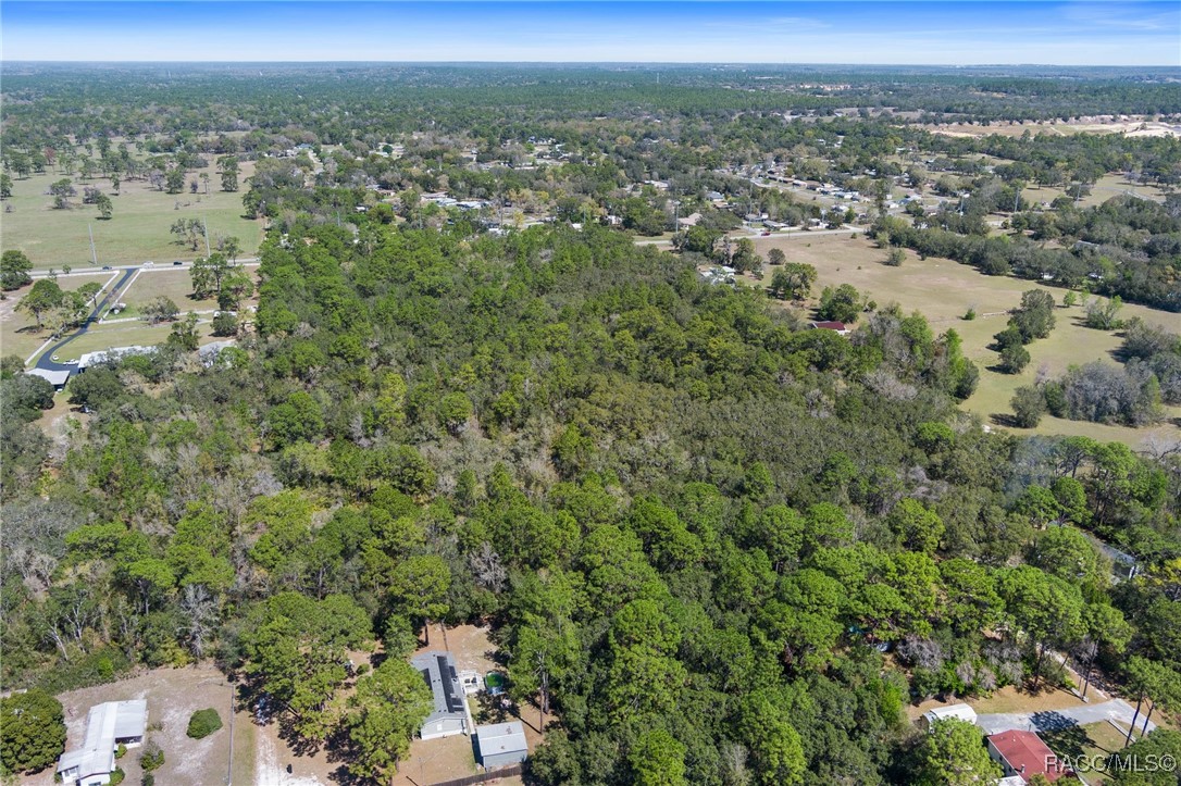 6190 W Grover Cleveland Boulevard, Homosassa, Florida image 13