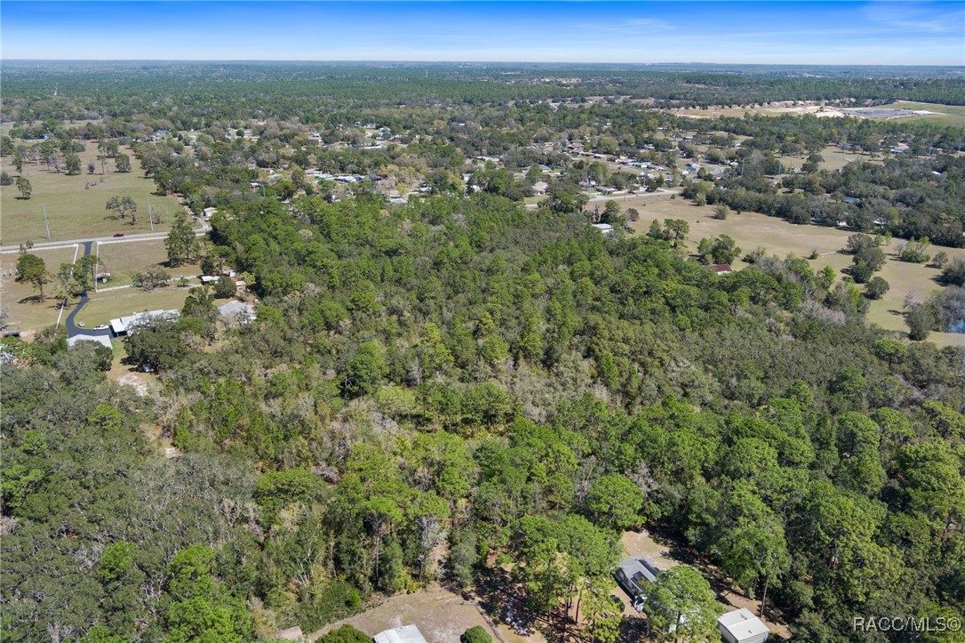 6190 W Grover Cleveland Boulevard, Homosassa, Florida image 14