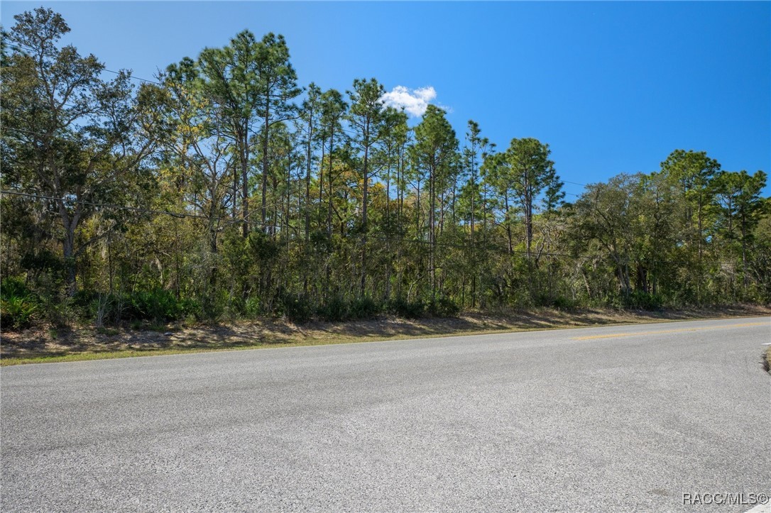 6190 W Grover Cleveland Boulevard, Homosassa, Florida image 15
