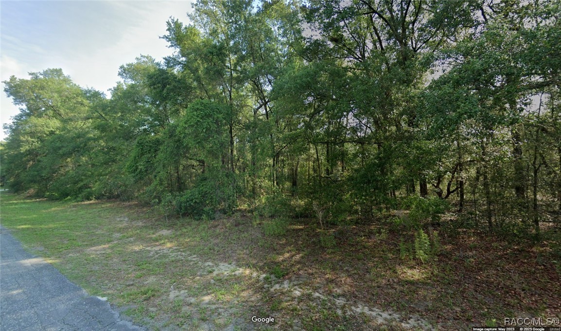 7751 N Creek Way, Citrus Springs, New York image 1