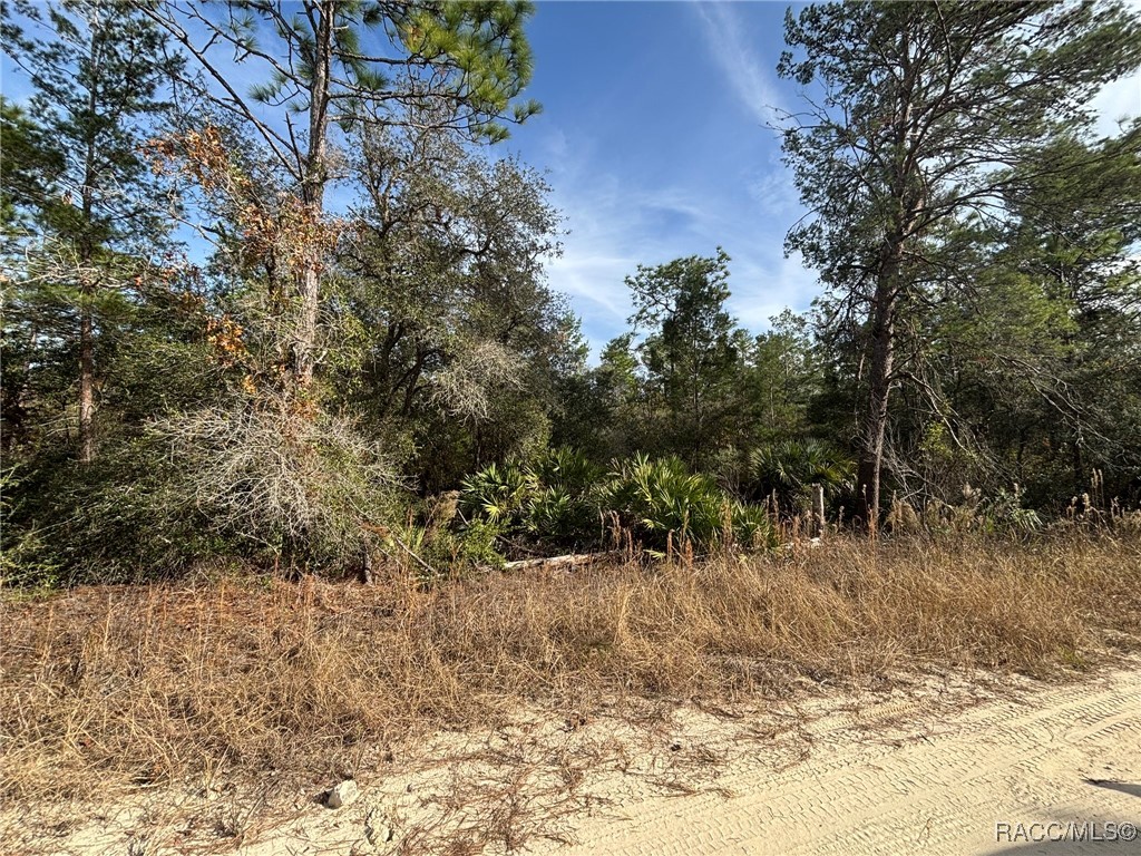 6653 N Zircon Point, Dunnellon, Florida image 6