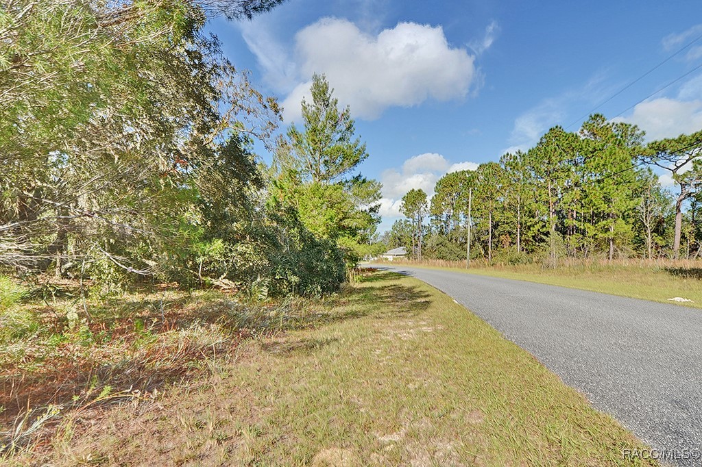 2520 W Riley Drive, Citrus Springs, Florida image 8