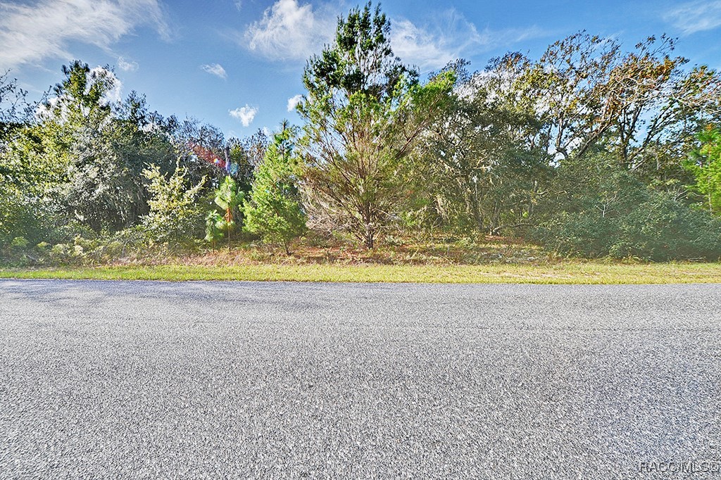 2520 W Riley Drive, Citrus Springs, Florida image 2