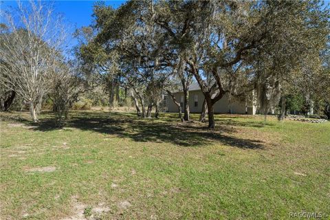 A home in Homosassa