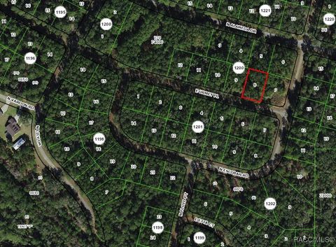 Vacant Land For Sale - 1389 E Urmey Place<br/> Dunnellon, FL 34434