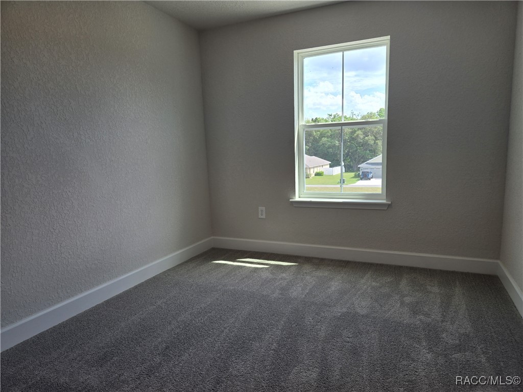 279 Bittern Loop, Inverness, Florida image 15