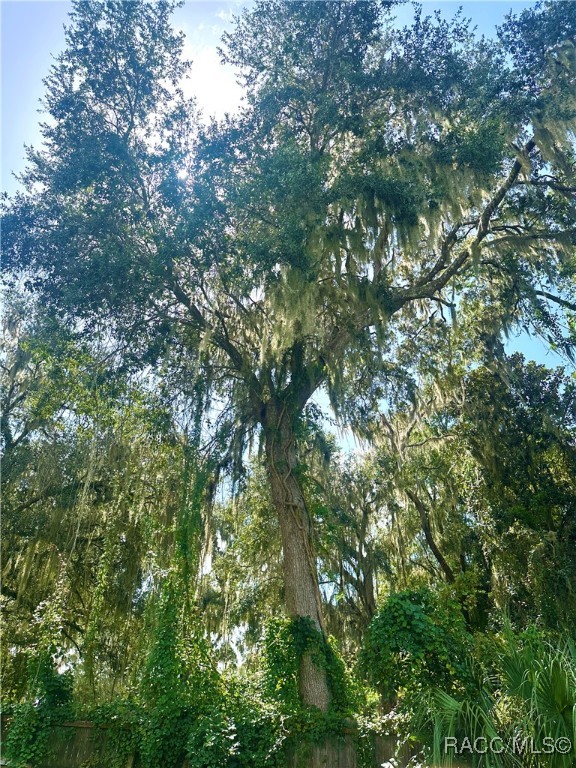 7014 S Aloysia Avenue