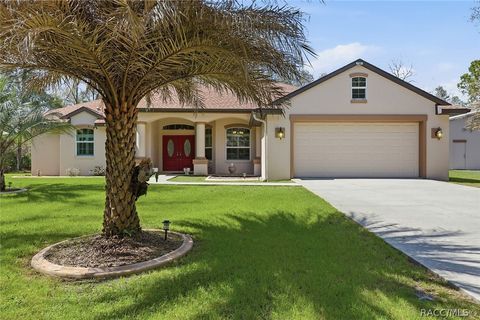 3953 N Buckhorn Drive Beverly Hills FL 34465