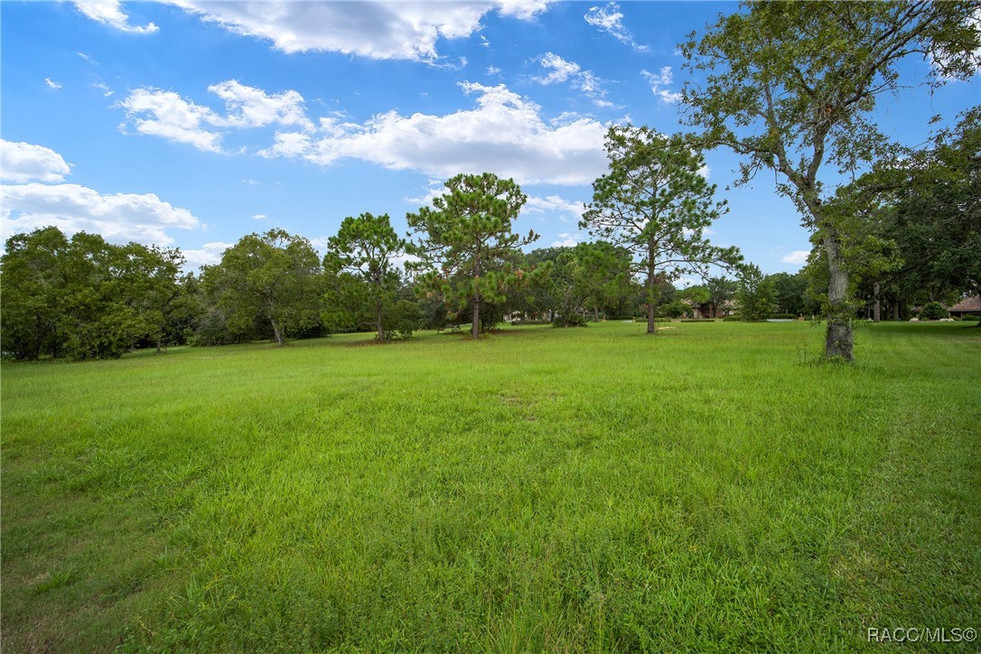 3577 N Pine Valley Loop, Lecanto, Florida image 6